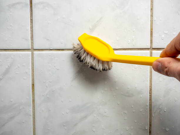 Best Mold Damage Repair  in West Kittanning, PA